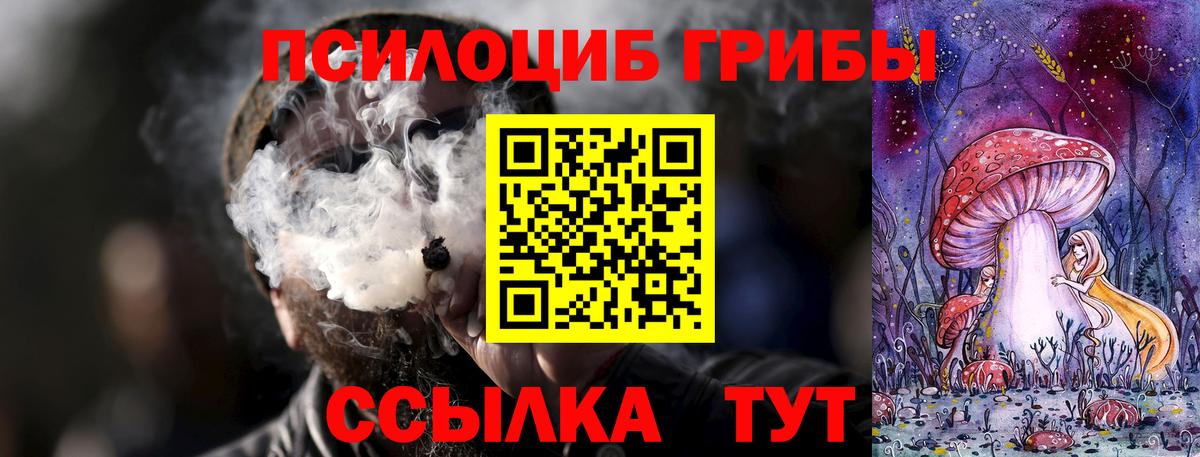 Галлюциногенные грибы GOLDEN TEACHER Тверь