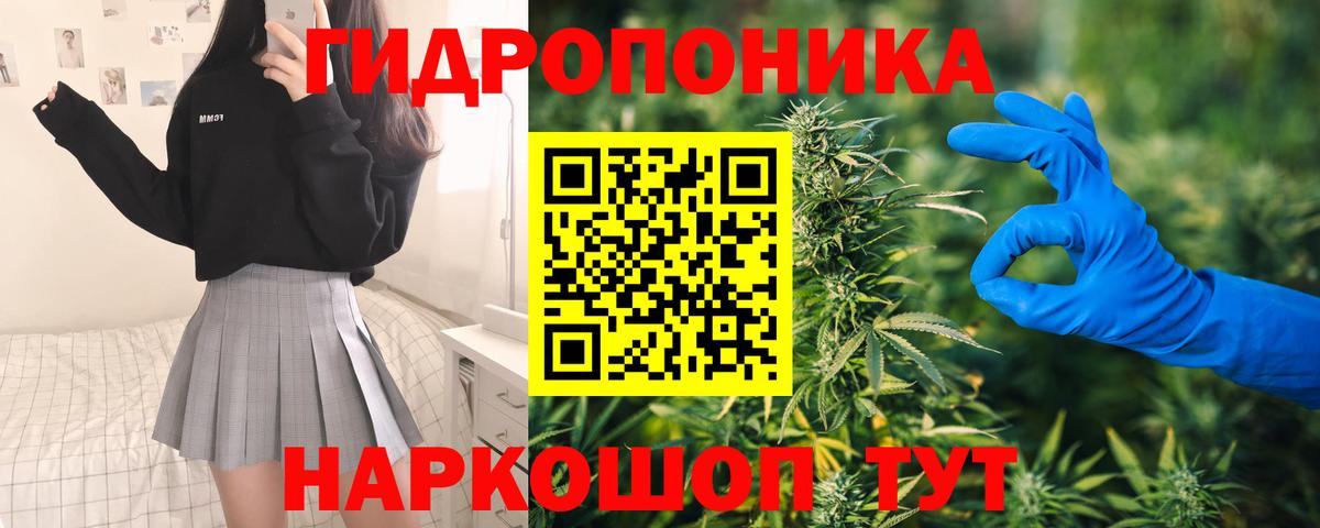 Конопля Bruce Banner  Бошки марихуана THC 21%  Марихуана VHQ  Тверь  МАРИХУАНА марихуана  Вход с VPN 